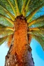 Placeholder: the scaly trunk of the majestic date-palm that is the Tree of Life; impressionism