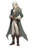 Placeholder: diplomatico elfico vestito di abiti eleganti, final fantasy style, figura intera