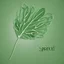 Placeholder: i want you to generate a logo for a new company named "SpiniLeaf" or Spinny Leaf. Something resembeling a spinning leaf, no words, HQ, digital art