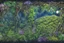 Placeholder: Rainforest, top view, flora and fauna in the light from a full moon, rocks, water, amazing night sky, glowing flowers, vines, large stars, island, ruin, fog, dawn, reflection, Jacek Yerka, Dominic Davison in sunshine smooth intricate high definition pencil sketch watercolor polished