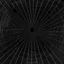 Placeholder: an image of a spiderweb on a black background so we can see the spiderwebs' shape