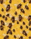 Placeholder: gentle background with bees, honeycombs in the background, bees on hives on a yellow field