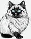 Placeholder: Birman Cat Breed clean sharp 64 K clipart line art