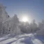 Placeholder: beautiful, luminous snowscape