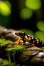 Placeholder: baby fire salamander in a burning log in the forest