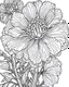 Placeholder: real massive Lisianthus flower coloring page