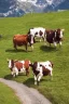 Placeholder: Brown and white cows walking on a path in the alps, Austria, green grass, hyper realistic, detailed, accurate, beautifully ornamented houses, open aperture, style Isabel Kreitz