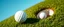 Placeholder: macro photo of a golf green, golf ball with shadow next to the hole(circular), ground is short groomed green grass, clear blue sky, add texture and depth, realism