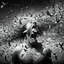 Placeholder: A black and white image of a man screaming with his eyes covered. His head is surrounded by a flock of birds, professional camera (zoom), Canon EOS R5, edge lighting, cinematic lighting, translucency, extrusion and gradient value change, specular attenuation and contrast, strong ambient occlusion overlay, depth parallax, photorealistic, 4K, 3D, realism, hyperrealism, macro detail and clear texture, good lighting, detailed texture, modern photography style, 3D, 4D, 4K --2:3