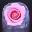 Placeholder: transparent multicolor crystal rose