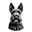 Placeholder: circle containing a black and white image of a Scottish terrier