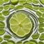 Placeholder: Lime juice circular puddle ripples, side view photographic