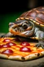 Placeholder: turtle eating a pizza, she is angry, she is from iceland