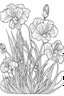 Placeholder: Outline art for coloring page, IRIS FLOWERS WITH STEMS, coloring page, white background, Sketch style, only use outline, clean line art, white background, no shadows, no shading, no color, clear