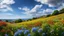 Placeholder: desktop wallpaper ,Turkey istanbul ,country side ,wild flowers,blue sky nice clouds,