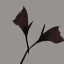 Placeholder: i want you to generate a logo for a new company named "SpiniLeaf" or Spinny Leaf. Something resembeling a spinning leaf, no words, HQ, digital art