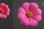 Placeholder: Flower 3d rendering