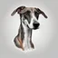 Placeholder: single Cute greyhound head, clean white background, print ready vector t-shirt design, cute funny face, sticker, professional vector, high detail, , sharp focus, studio photo, intricate details, highly detailed, ultra hd, realistic, vivid colors, highly detailed , 8k , Macro photography, close-up, hyper detailed, sharp focus, studio photo, intricate details, highly detailed, by xanuth