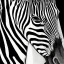 Placeholder: portrait of a zebra Vincent van Gogh style