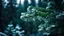 Placeholder: A mesmerizing close-up shot of a fir tree branch . Delicate snowflakes glisten, frozen in time, against a magical forest backdrop. The detailed evergreen branches create a vivid and beautiful natural background