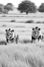 Placeholder: Black and white outlined lions on grasslands