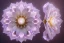 Placeholder: white,magic magical flower, beautiful crystal lotus flowers, flowerart, rareflowers white lily flowers, brilliant diamond gold glass,rock crystals shiny gorgeous magical,glowing pink gold, beautiful crystal shiny, irridescent, hyperrealistic, cinematic lighting, particles, unreal engine, full of details, bright sunshine, light effect, photos realistique, vaporwave colorful, extremely sharp detail, finely,