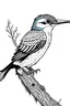 Placeholder: Kingfisher coloring, cartoon style, thick lines, low detail, black and white, no shading, wide shot