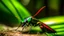 Placeholder: A green and black colored insect that is half Red Wolf and half Grasshopper and has a long tail.