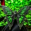 Placeholder: metal gothic green moth wings