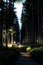 Placeholder: deep in the forest at night