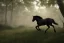 Placeholder: A black stallion galloping through the woods