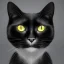 Placeholder: Portrait of a black cat