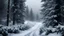 Placeholder: dark epic background, snowfall, snowstorm, windstorm, storm, frost on the ground, cold, gloomy, towering evergreens