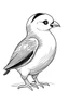 Placeholder: Simple on line draw for kids 'Atlantic Puffin' inolated on white, white background, without color, black and white, full image