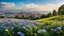 Placeholder: desktop wallpaper ,Turkey istanbul ,country side ,wild flowers,blue sky nice clouds,