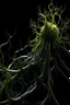 Placeholder: nervous ganglion made of dark plant matter