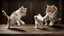 Placeholder: Two Funny cats on the dark wood table fighting