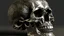 Placeholder: detailed human skull