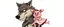Placeholder: wolf carrying a lovely scared pig girl with dress under his arms , stupid cartoon, airbrush and pen outline