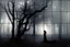 Placeholder: Trees, forest, one person, gothic horror movies influence, photography hd