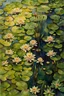 Placeholder: view from sky, photo realistic watercolor painting of lake Ariel view, full of waterlily flowers, green lake, pen line sketch and watercolor painting ,Inspired by the works of Daniel F. Gerhartz, with a fine art aesthetic and a highly detailed, realistic style