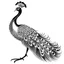 Placeholder: white, A peacock in flight, vector, white background, outline, with images neatly contained within the background, just black and white color, full body, no color. Front view.