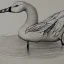 Placeholder: line drawing of a snow goose