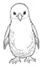 Placeholder: outline art for Penguin Chick coloring pages with sitch, white background, Sketch style, full body, only use outline, toddlers style, clean line art, white background, no shadows and clear and well outlined.