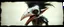 Placeholder: 3d airbrush render, magpie elf vampire alien dodo , pinhole cam, airbrush 3d rendering, in the style of Titian and Dali , torn edges on border