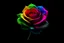 Placeholder: Create black rainbow rose and black background