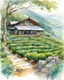 Placeholder: in a big tea plantation , a modern cottage in the tea plantation hill side, pen line sketch and watercolor painting ,Inspired by the works of Daniel F. Gerhartz, with a fine art aesthetic and a highly detailed, realistic style