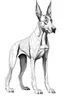 Placeholder: coloring full body image of Doberman Pinscher dog white background, fine thin line, thin pencil lining