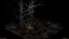 Placeholder: A dark and grim forest, isometric camera angle