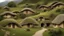 Placeholder: architecture village hobbit vernaculaire